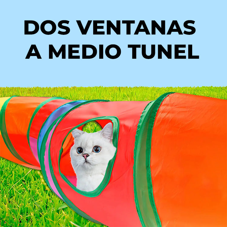 Túnel Para Gato Plegable Y Colorido Juguete