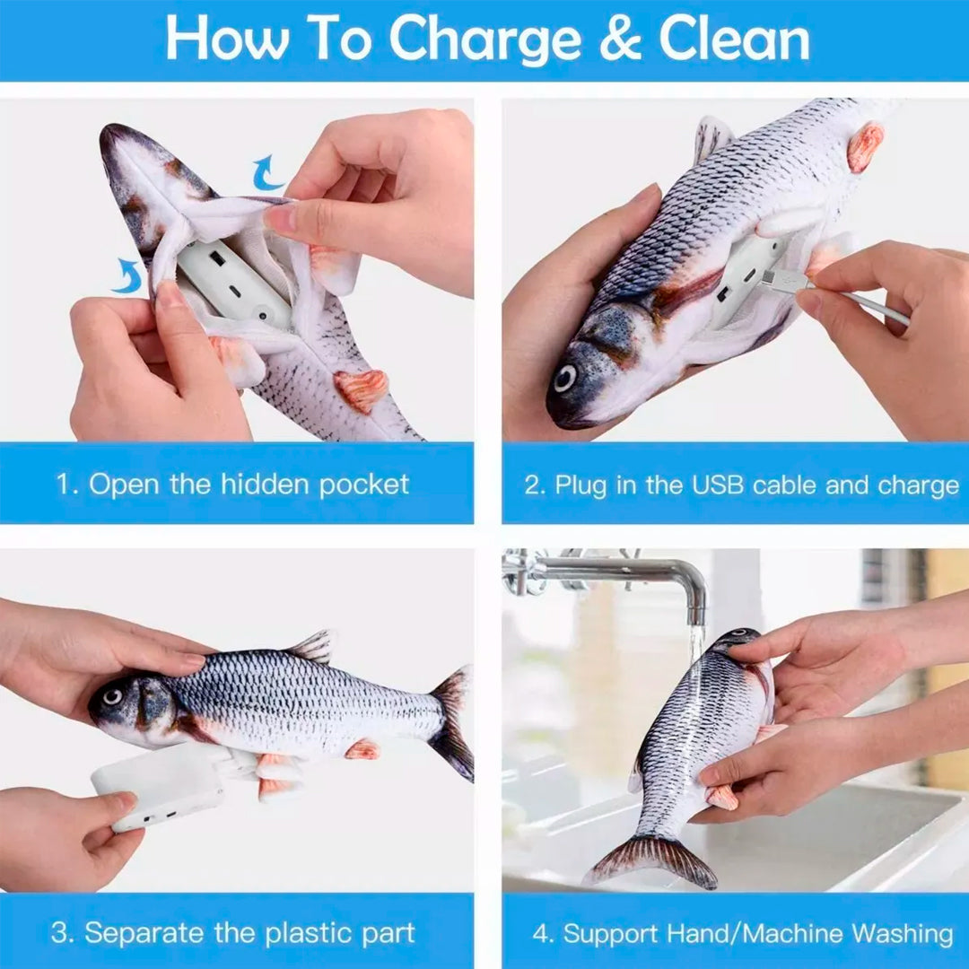 Pal Michi Pescado Bailarín