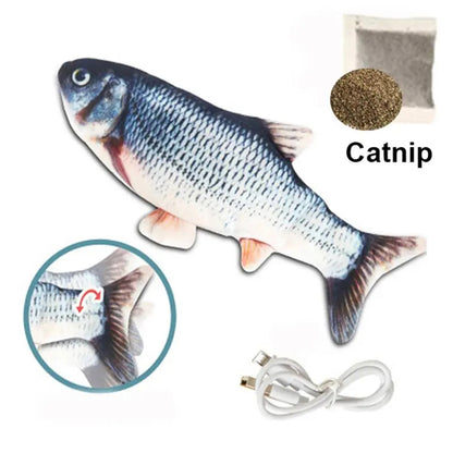 Pal Michi Pescado Bailarín