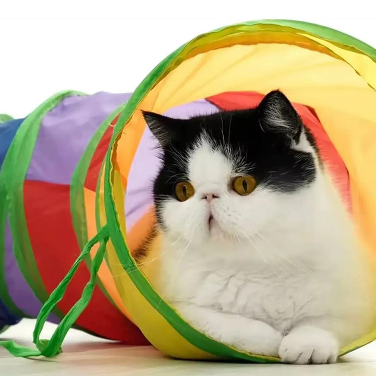 Túnel Para Gato Plegable Y Colorido Juguete